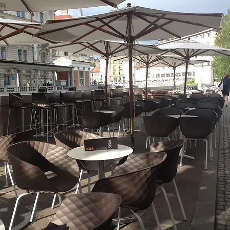 Cacao בית הארחה