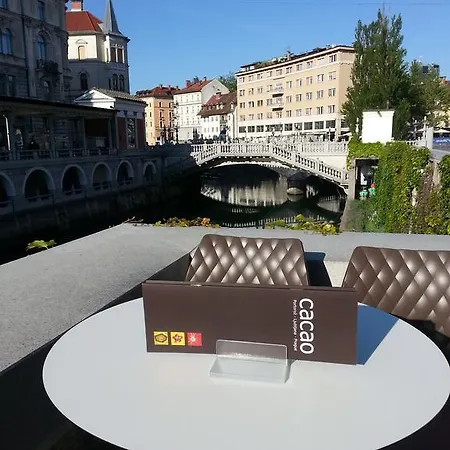 ゲストハウス カカオ ルームズ 4*